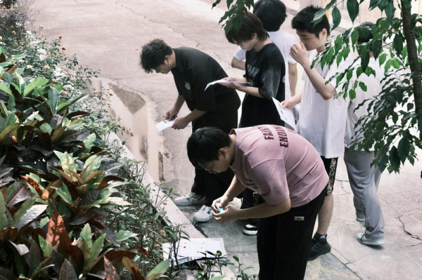 图片3.png