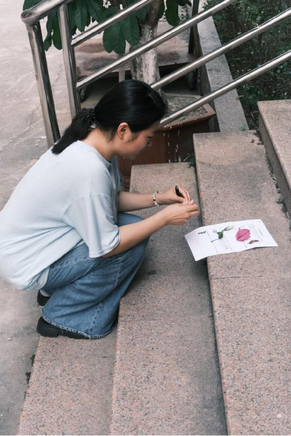 图片11.png