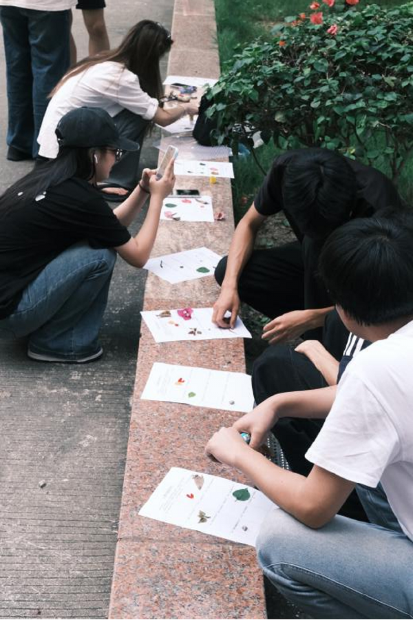 图片10.png