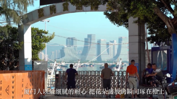 图片49.png